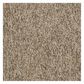 Shaw Sound Advice 24" x 24" Carpet Tile in Make It Work, , large