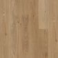 Shaw Surpass Craftsman 6" x 48" Luxury Vinyl Plank, , large