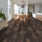 Shaw Symbiotic 12 Sorrel 6" x 48" Luxury Vinyl Tile, , large