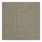 Shaw Phenomenal Carpet in Gray Flannel, , large