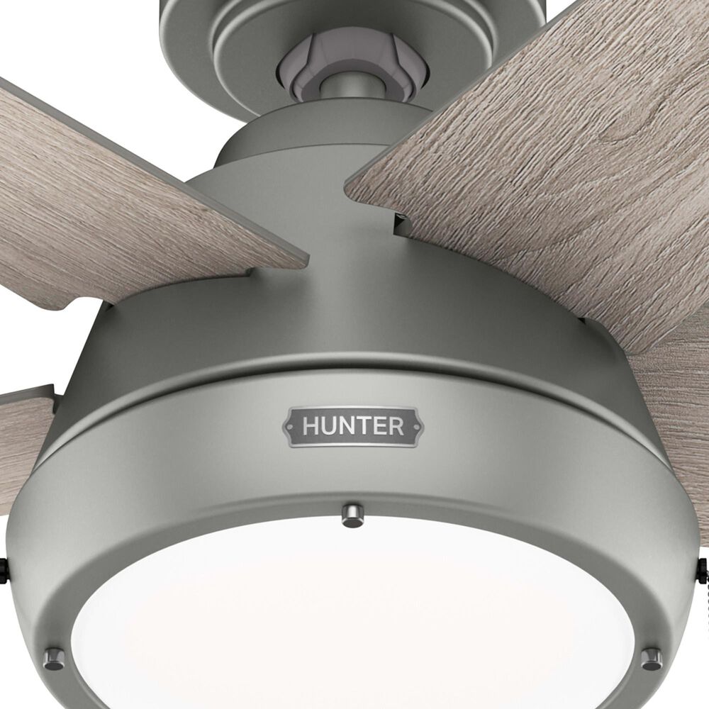 Hunter Burroughs 44&quot; Ceiling Fan with LED Lights in Matte Silver, , large