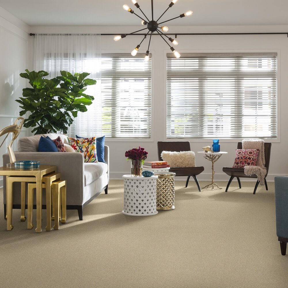 Shaw Foundations Take The Floor Twist I Carpet in Restoration, , large