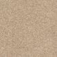 Anderson Tuftex Barracan Classic III Carpet in Maplewood North, , large