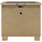Ashley Galliden 2-Drawer Nightstand in Light Brown and Cement, , large