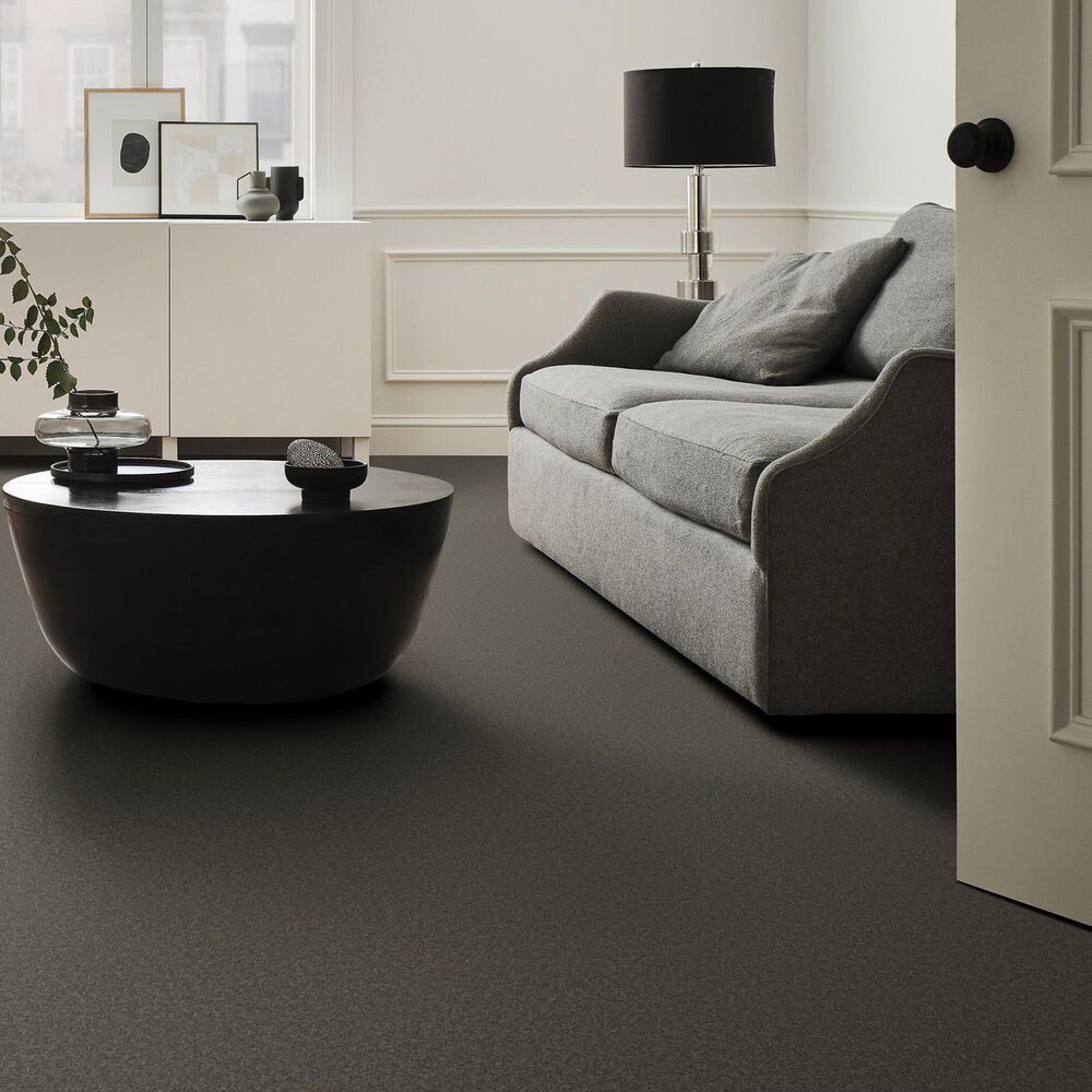 Anderson Tuftex Elegant Beauty Carpet in Highrise, , large