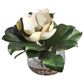Uttermost Celia Magnolia Accent, , large