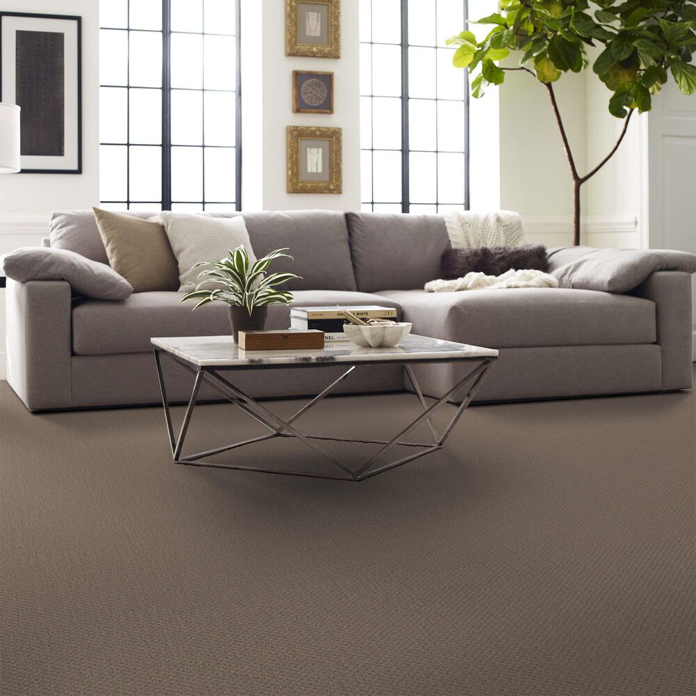 Shaw Austin Park Carpet in Pure Earth, , large