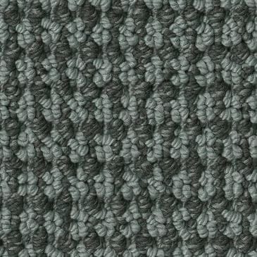 Anderson Tuftex Inspired Carpet in Spruce, , large