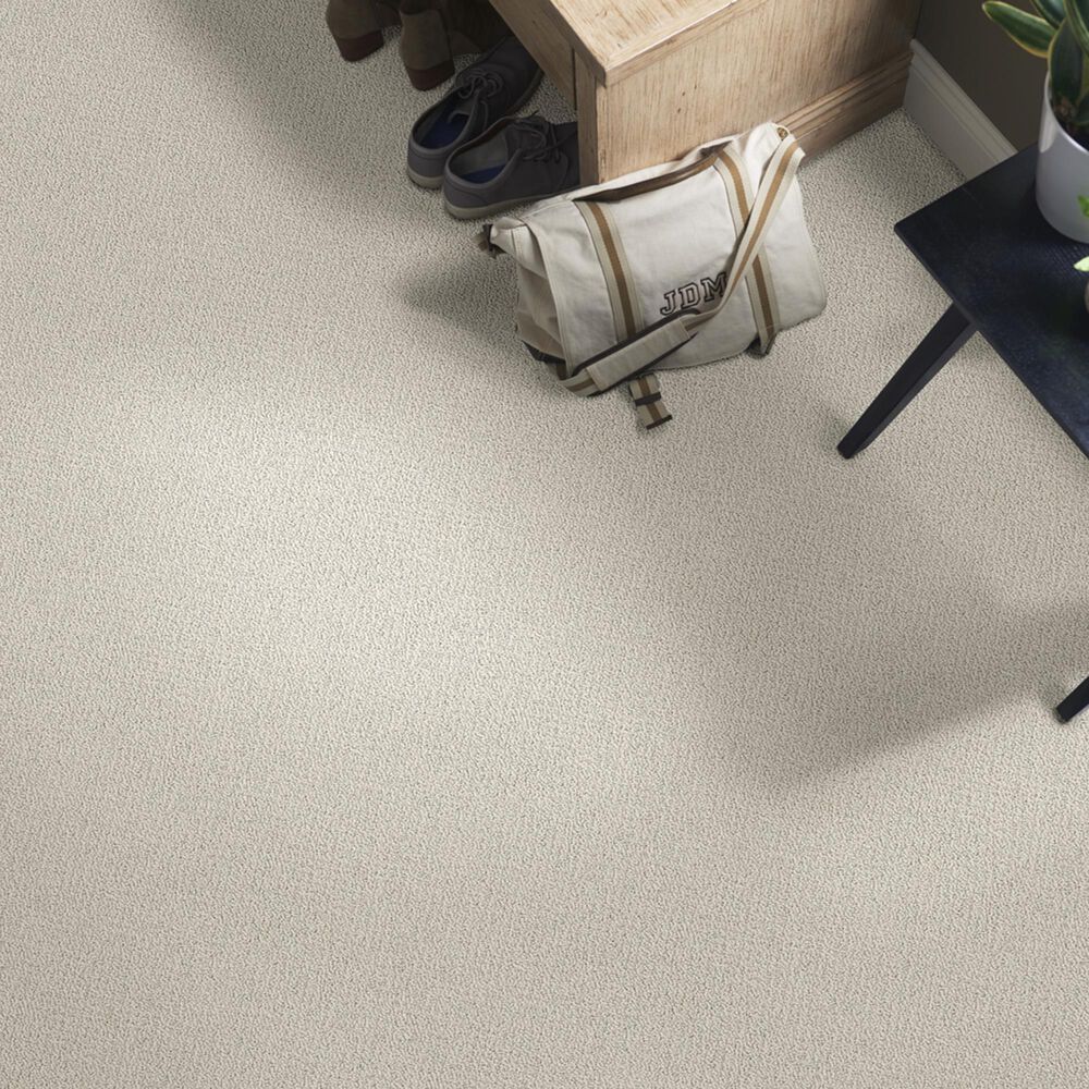 Shaw Detailed Statement Loop Carpet in Natural, , large