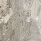 Nourison Divine DIV05 8"6" x 11"6" Ash Area Rug, , large