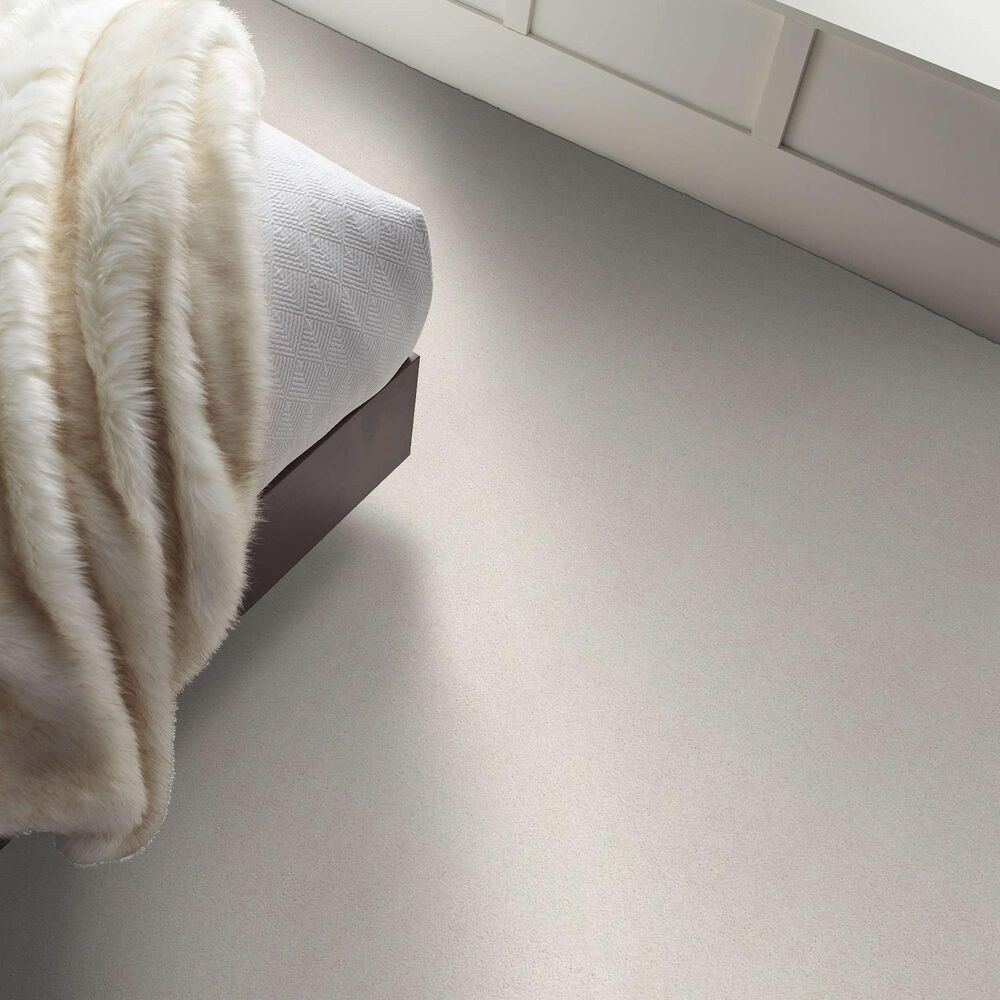 Shaw Your Comfort I Carpet in Whitewashed Frame, , large