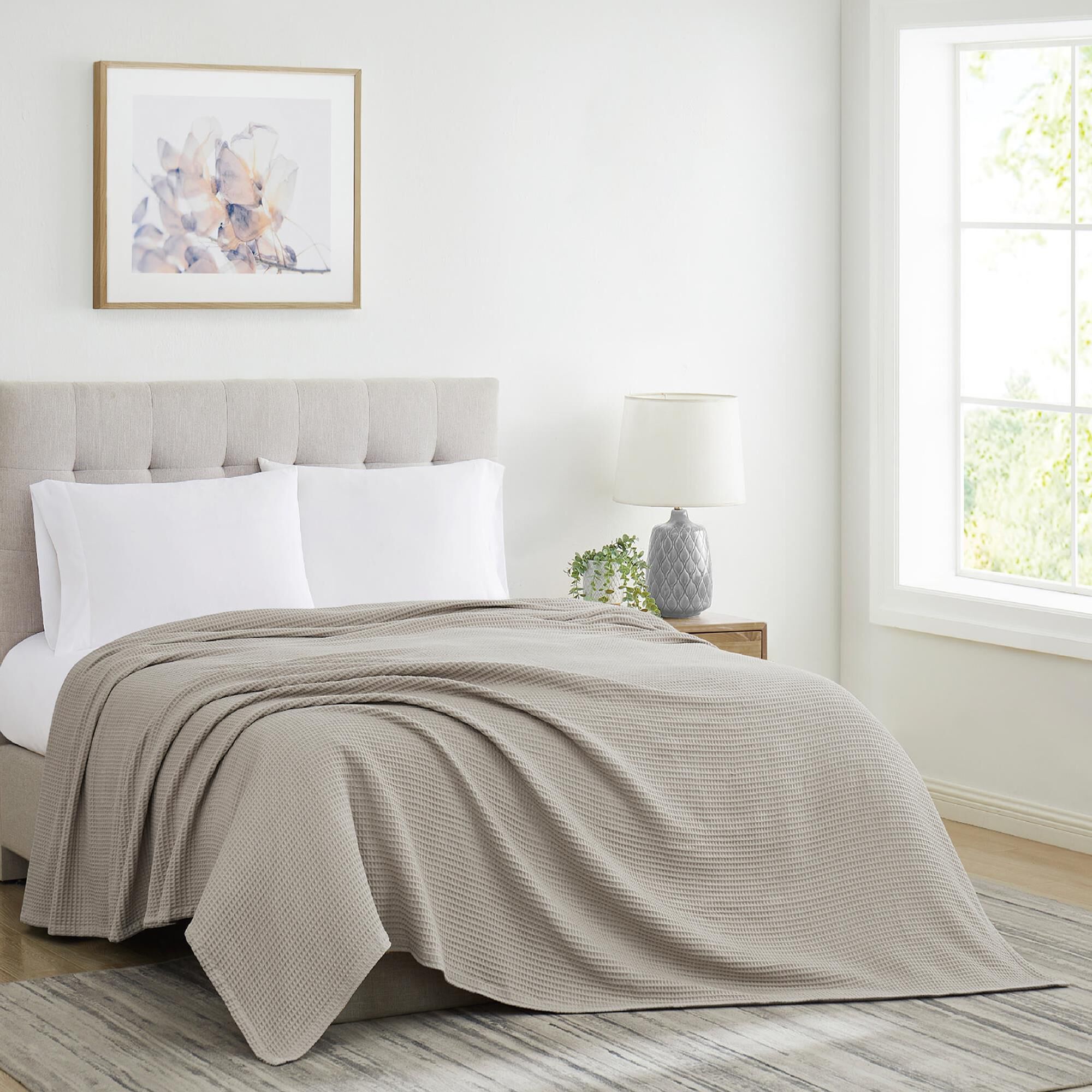 Twin xl blanket sales