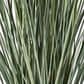 Maple and Jade 61" Indoor/Outdoor Tall Artificial Onion Grass with Black Plastic Pot in Green, , large