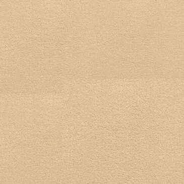 Dixie Home Neverland Carpet in Spice, , large