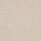 Anderson Tuftex Bali Carpet in Birch, , large