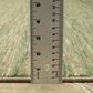 Oriental Weavers Reed 3"3" x 5" Beige and Green Area Rug, , large