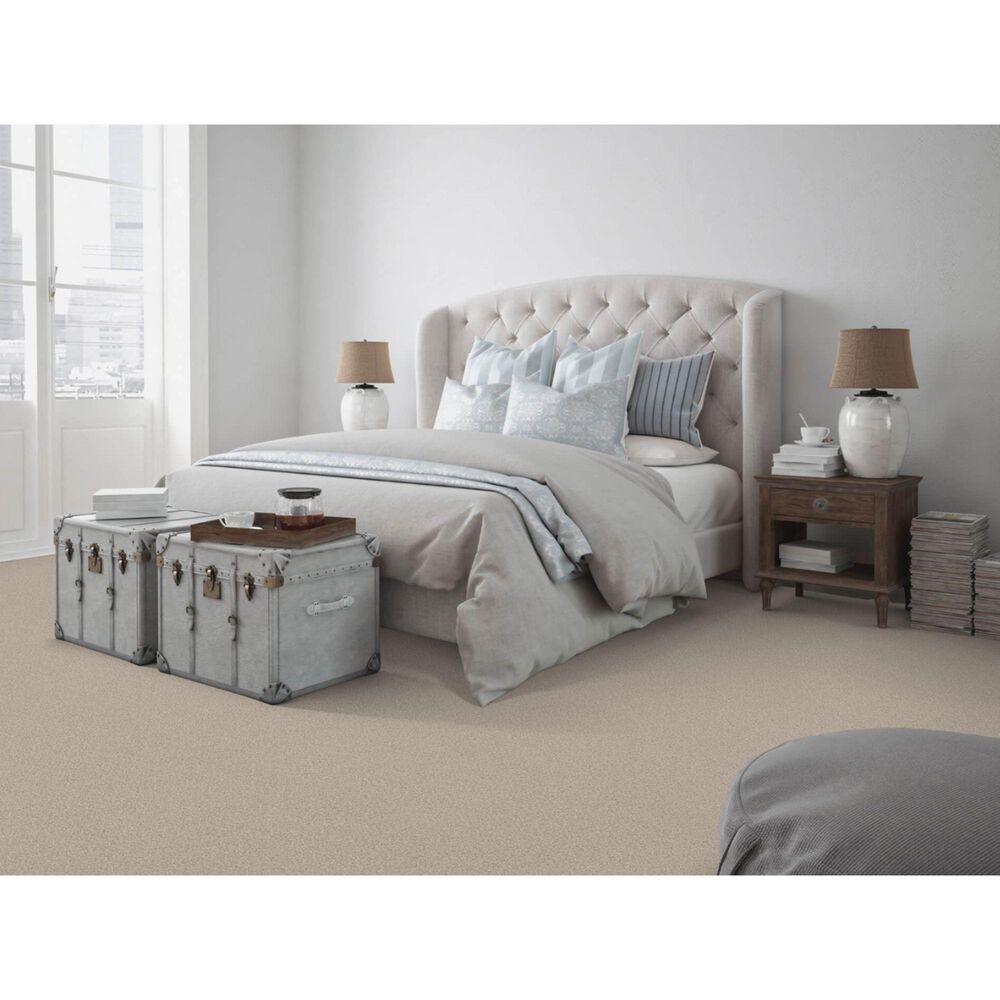 Dixie Home Simplicity Carpet in Casual, , large
