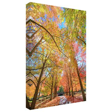Timberlake Beata Czyzowska "Autumn Street" 24" x 16" Canvas Art in Brown/Tan/Yellow, , large