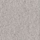 Anderson Tuftex Luxe Feel II Carpet in Silver Lining, , large
