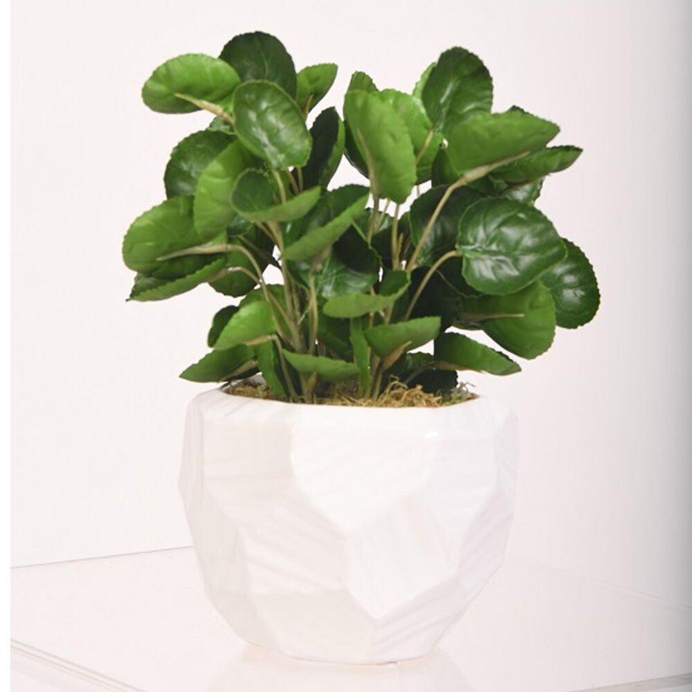 DandW Silks Eucalyptus in White Planter, , large