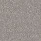 Shaw Awaken Spirit II 12" Carpet in Subtle Touch, , large