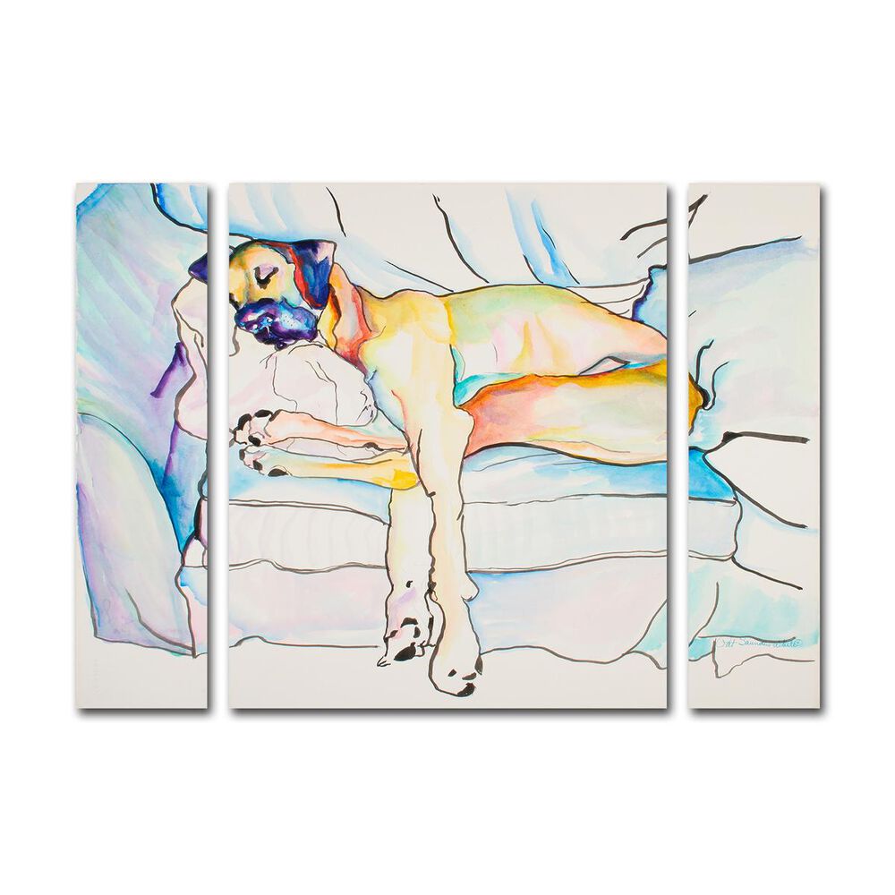 Timberlake 'Sleeping Beauty' Large Multi Panel Art Set, , large