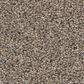 Shaw Wonderland III 12" Carpet in Slate, , large