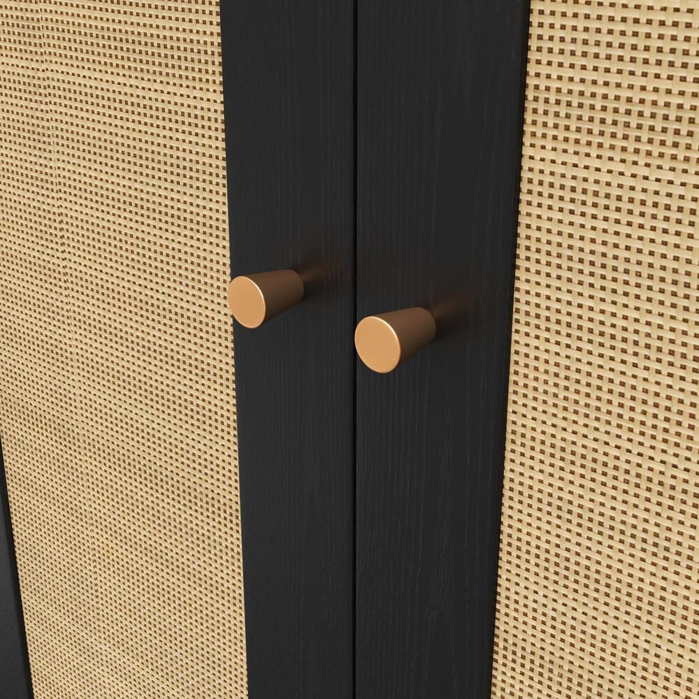 HOMLUX 6-Hook Hall Tree with 2-Rattan Doors in Black, , large