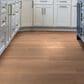 Shaw Vinyl Tile Ascent Natural Bevel Legend 9" x 72" Vinyl Plank, , large