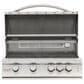Blaze 32" Marine Grade Liquid Propane Gas Grill in Stainless Steel, , large