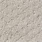 Anderson Tuftex West Fork Carpet in Bit of Gray, , large