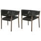 Blue River Doris Patio Dining Chair in Light Eucalyptus and Charcoal (Set of 2), , large