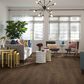 Shaw Paladin Plus 7" x 48" Vinyl Plank in Boardwalk, , large