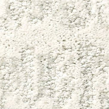 Anderson Tuftex Resort Chic Carpet in Calm, , large
