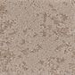 Anderson Tuftex Caress  Artistic Presence Carpet in Natural Beauty, , large