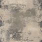 Nourison Maxell MAE13 3"10" x 5"10" Ivory and Grey Area Rug, , large