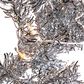 The Gerson Company 7.5" Pre-Lit Tinsel Artificial Christmas Tree in Silver, , large
