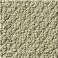 Shaw Detailed Statement Loop Carpet in Rocky Coast, , large