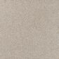 Karastan Victoria Peak I Carpet in Briarwood, , large