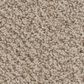 Anderson Tuftex Obscura Carpet in Softlight, , large