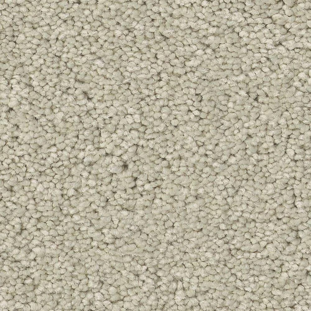 Anderson Tuftex Enduring Charm Carpet in Aloe Wash, , large