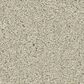 Anderson Tuftex Enduring Charm Carpet in Aloe Wash, , large