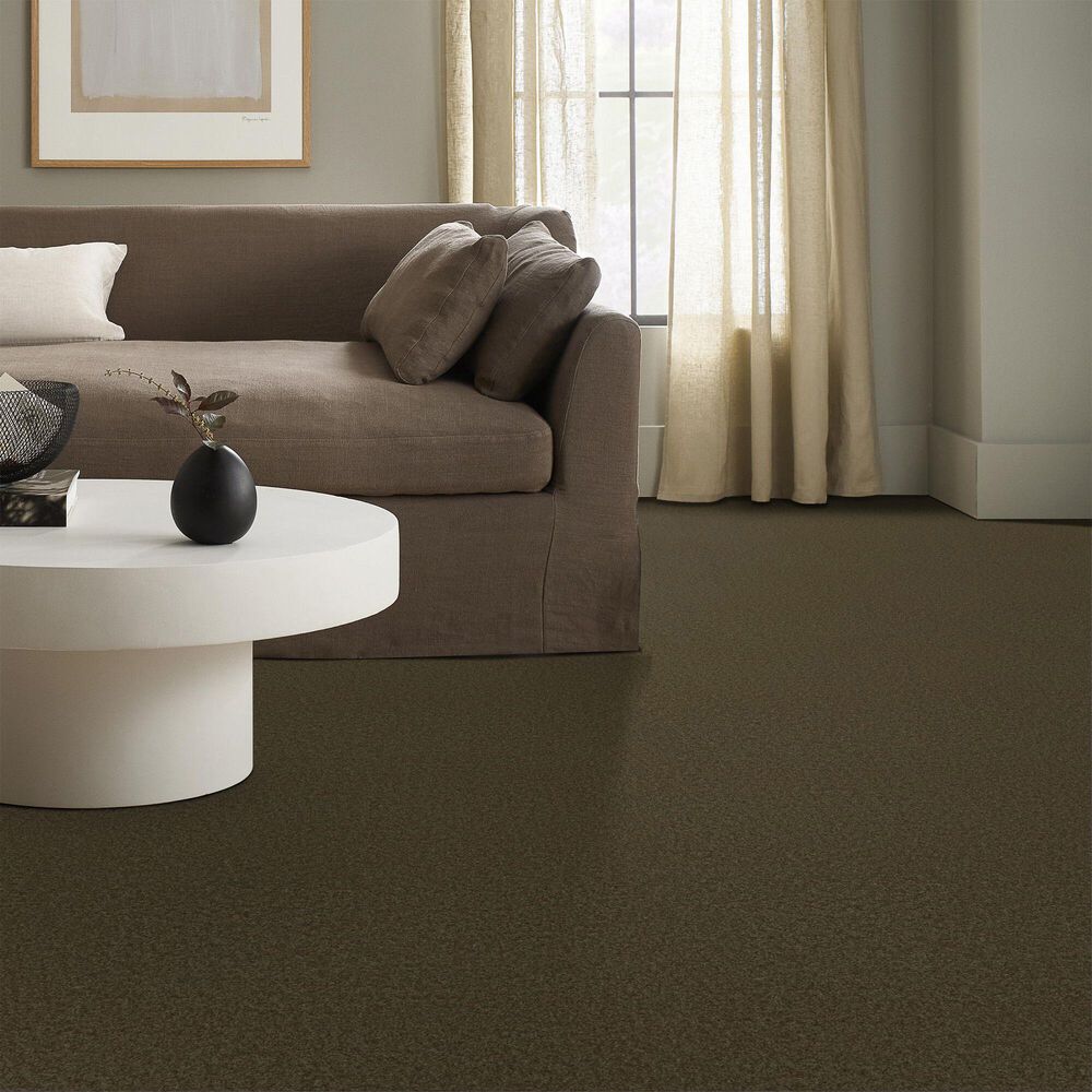 Anderson Tuftex Enchanting Carpet in Dark Olive, , large