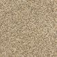 Dixie Home Natural Beauty Carpet in Chestnut, , large