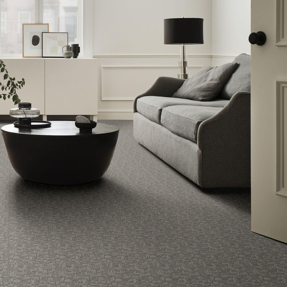 Anderson Tuftex Paw-Tay Carpet in Rockport, , large