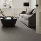 Anderson Tuftex Paw-Tay Carpet in Rockport, , large