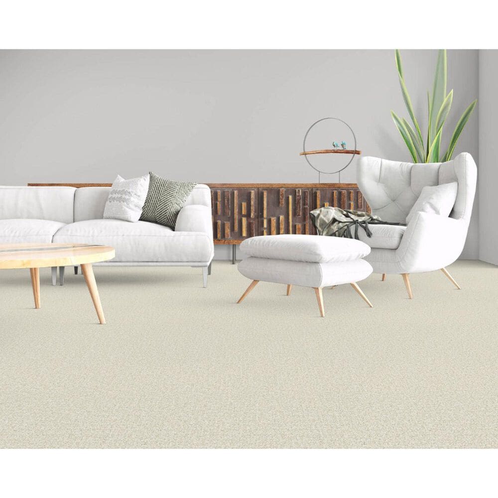Masland Offspring Carpet in Dog-Gone It, , large