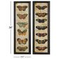 Maple and Jade 36" x 11" Butterfly Wall Art in Multicolor (Set of 2), , large