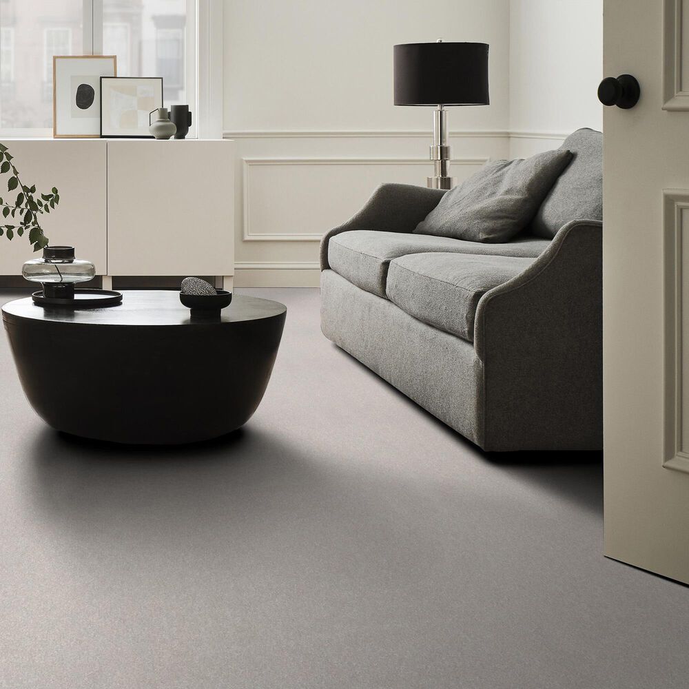 Shaw Hard At Play II Carpet in Frozen, , large