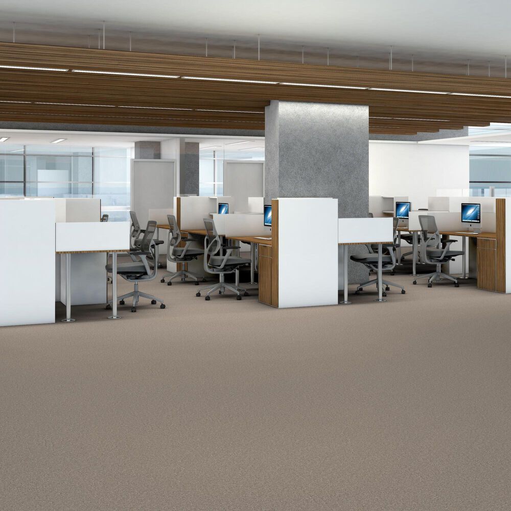 Shaw You Got This III Carpet in Subtle Clay, , large